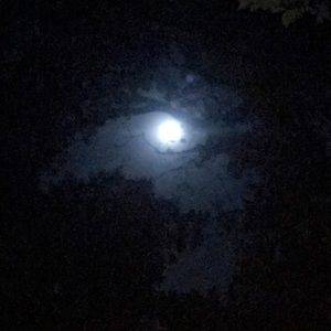 Meet your Posher, Christi